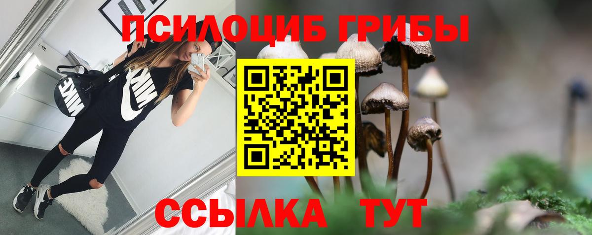 Галлюциногенные грибы Psilocybine cubensis Саянск