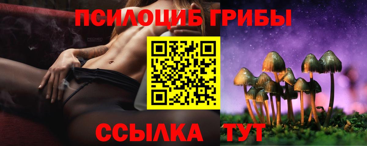 Псилоцибиновые грибы прущие грибы  Галлюциногенные грибы прущие грибы  Саянск  купить  сайты  Вход с VPN 
